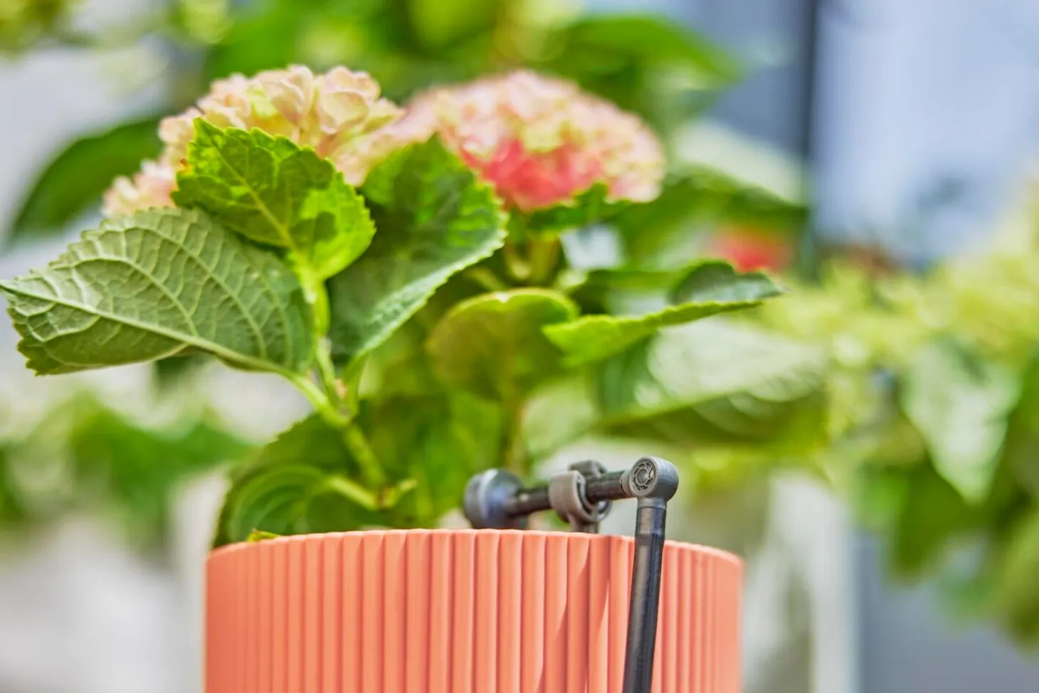 Gardena Micro Drip systeem drukcompenserende einddruppelaar 2 L