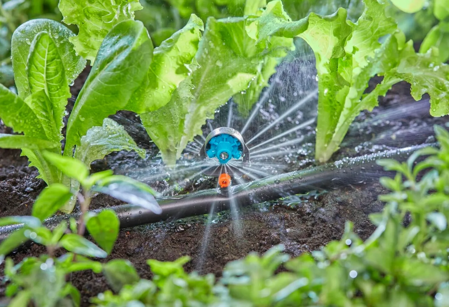 Gardena Micro Drip systeem multi 6-sproeikop