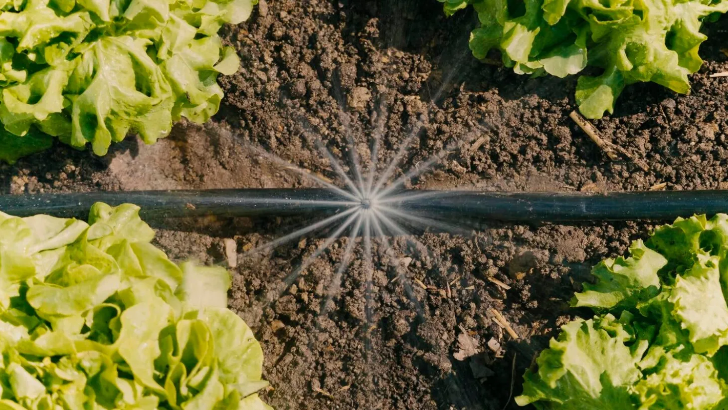 Gardena Micro Drip systeem sproeier 360А 5 stuks