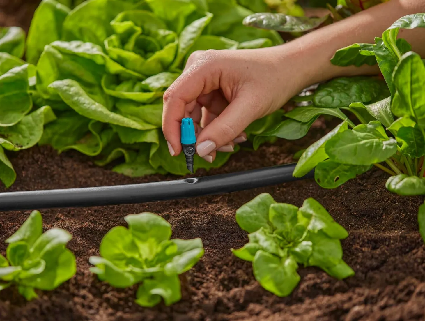 Gardena Micro Drip systeem sproeier kleine oppervlakte