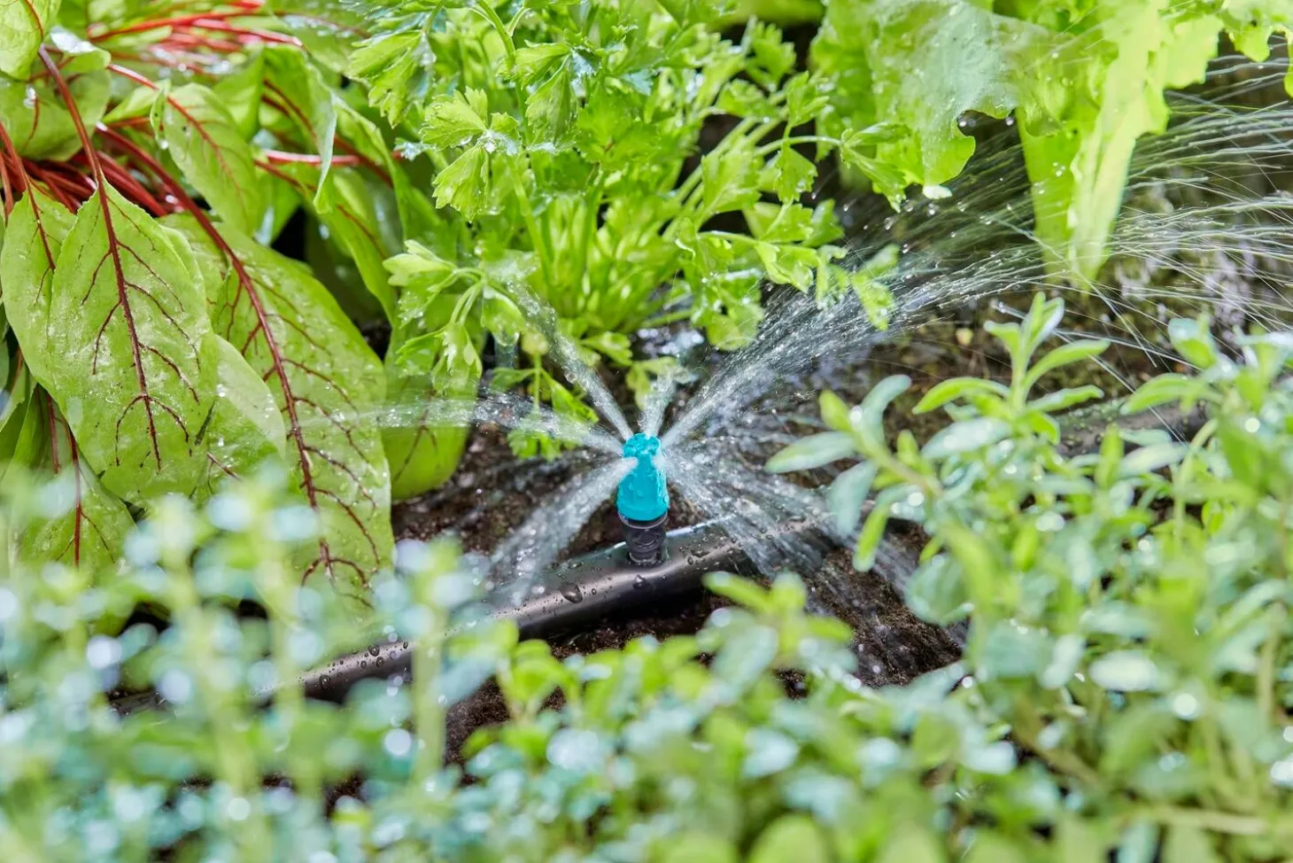 Gardena Micro Drip systeem sproeier kleine oppervlakte