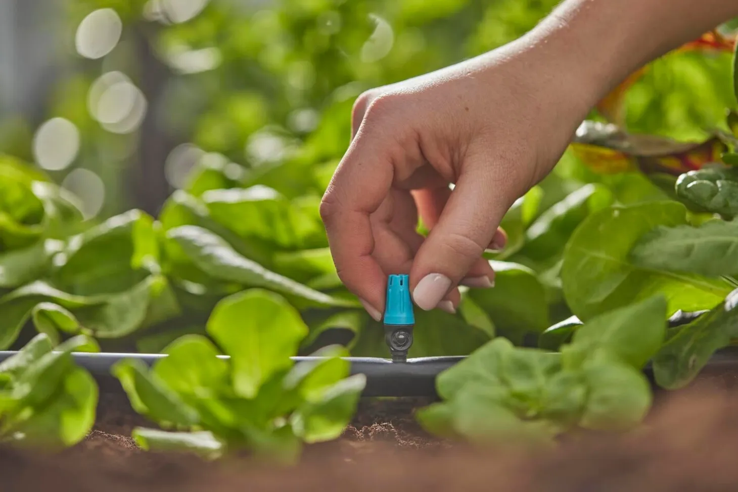 Gardena Micro Drip systeem sproeier kleine oppervlakte