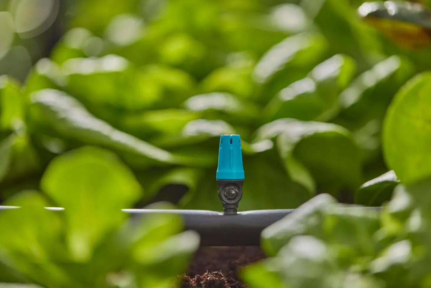 Gardena Micro Drip systeem sproeier kleine oppervlakte
