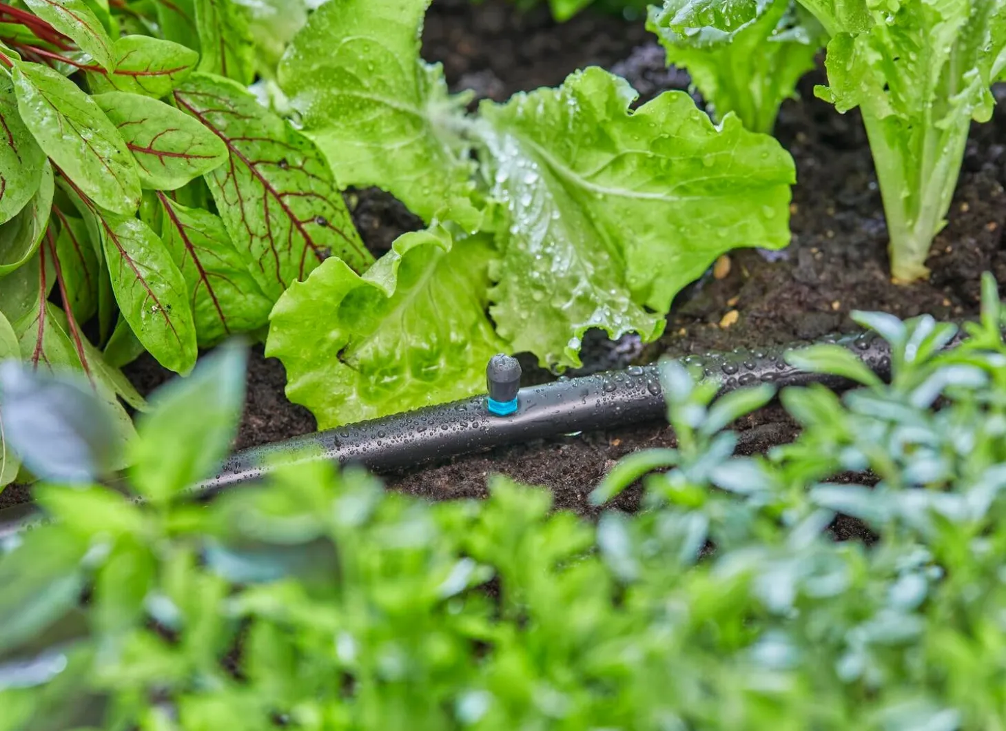 Gardena Micro Drip systeem sproeier 90А 5 stuks