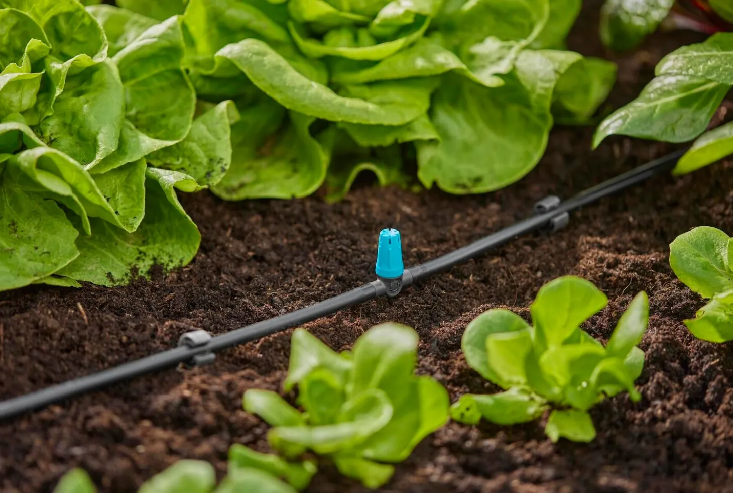 Gardena Micro Drip systeem T-sproeier kleine oppervlakte