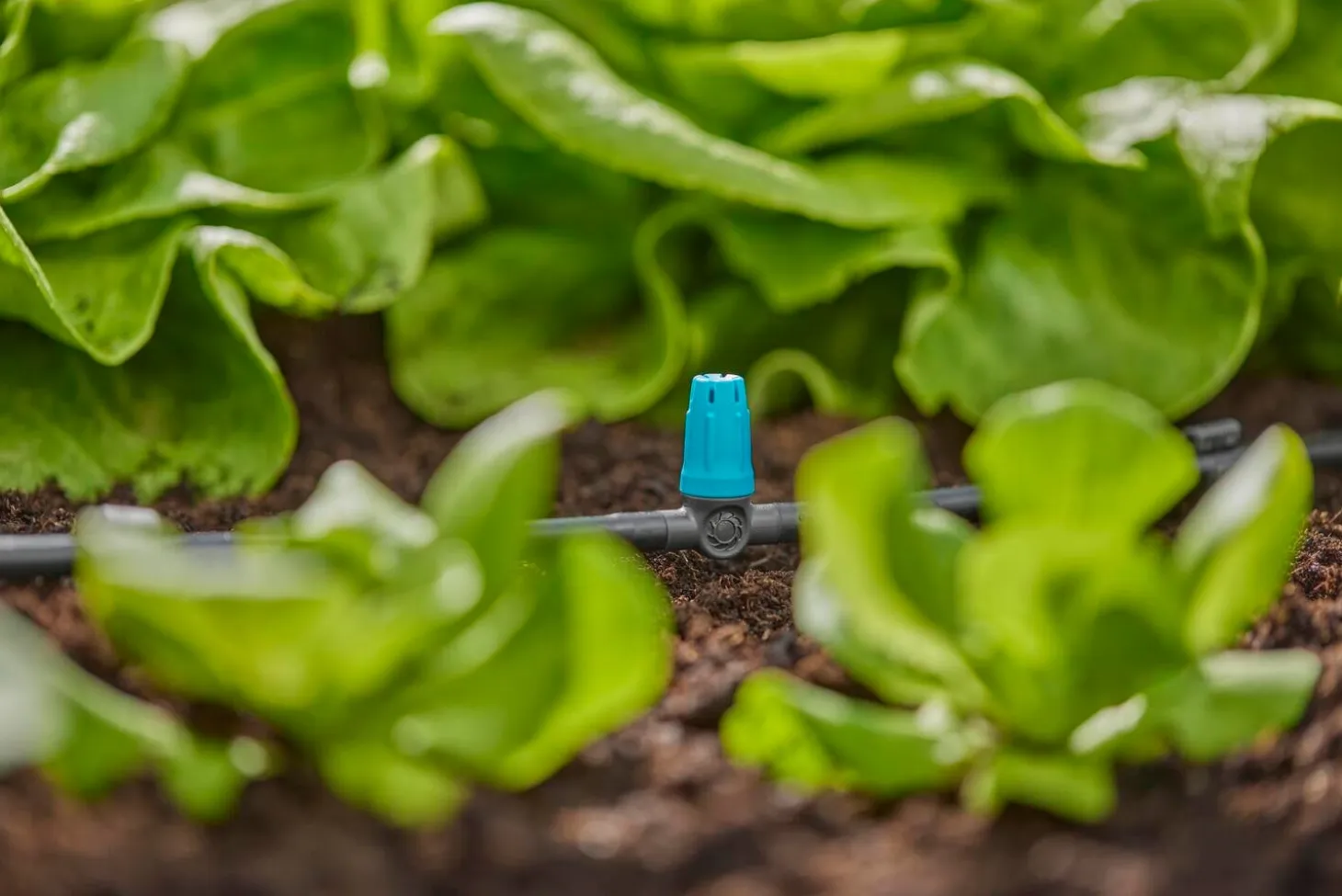 Gardena Micro Drip systeem T-sproeier kleine oppervlakte