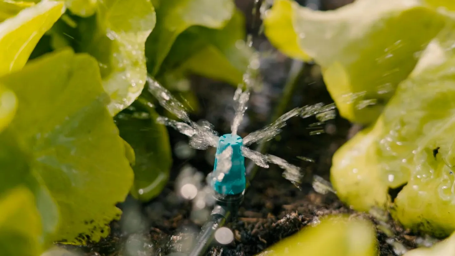 Gardena Micro Drip systeem T-sproeier kleine oppervlakte