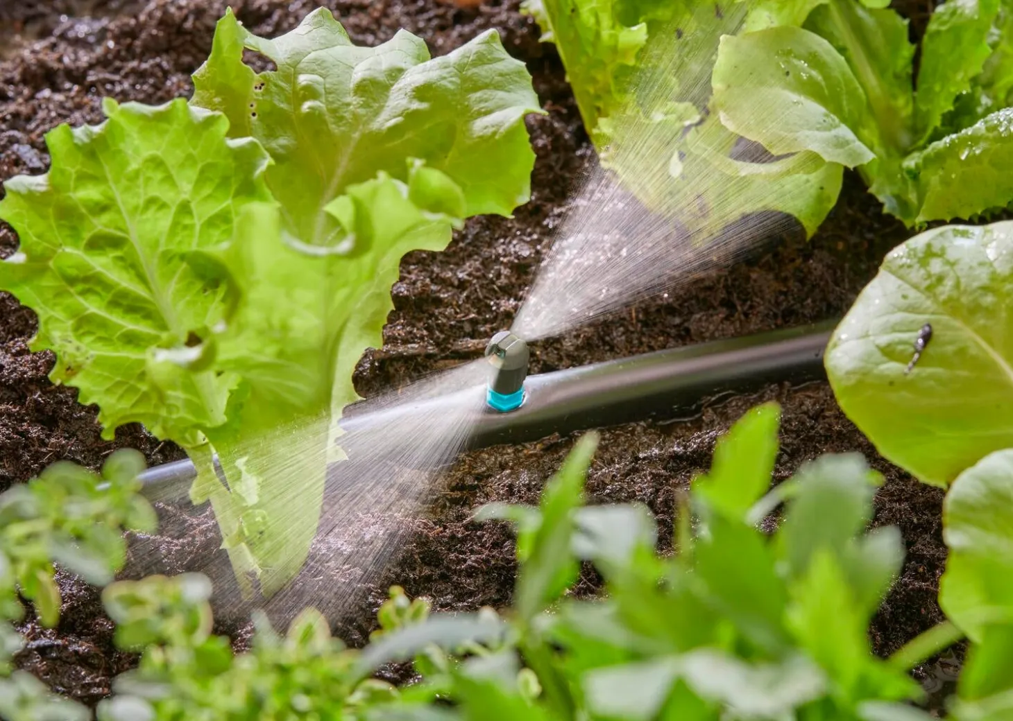 Gardena Micro Drip systeem vlaksproeier 5 stuks