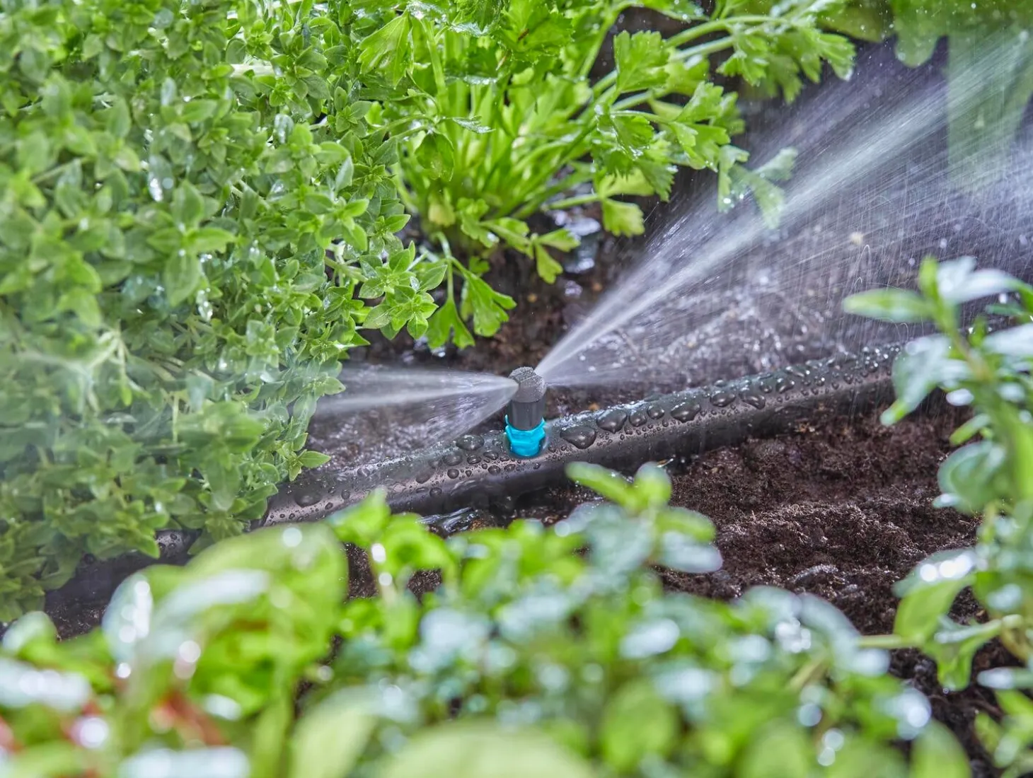 Gardena Micro Drip systeem vlaksproeier 5 stuks