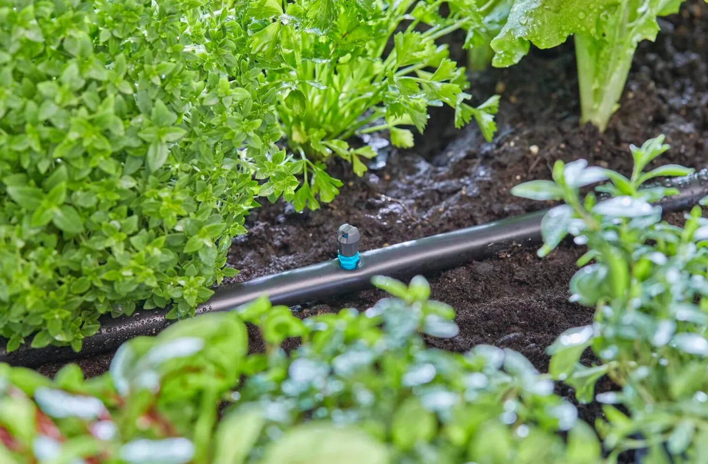 Gardena Micro Drip systeem vlaksproeier 5 stuks