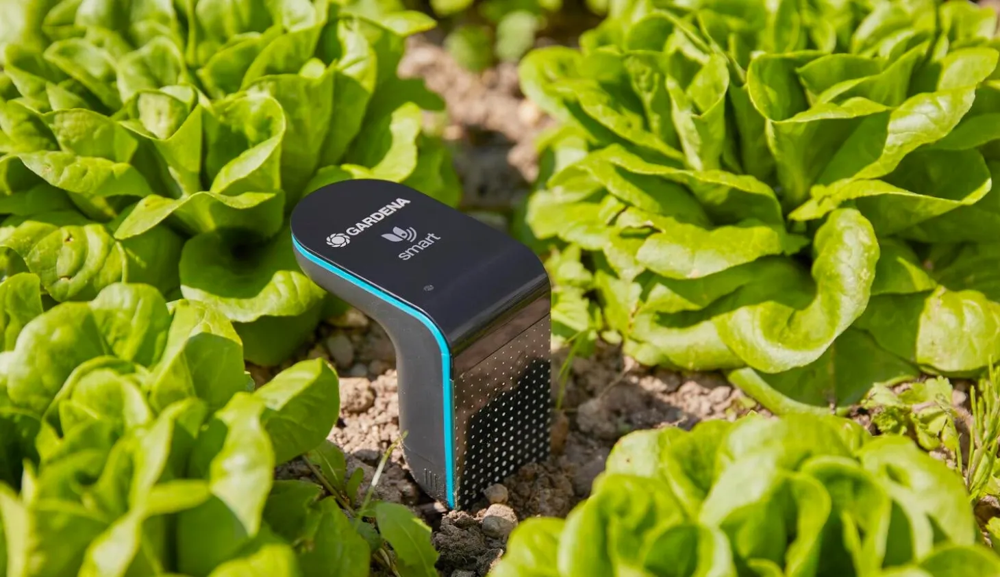 Gardena smart sensor