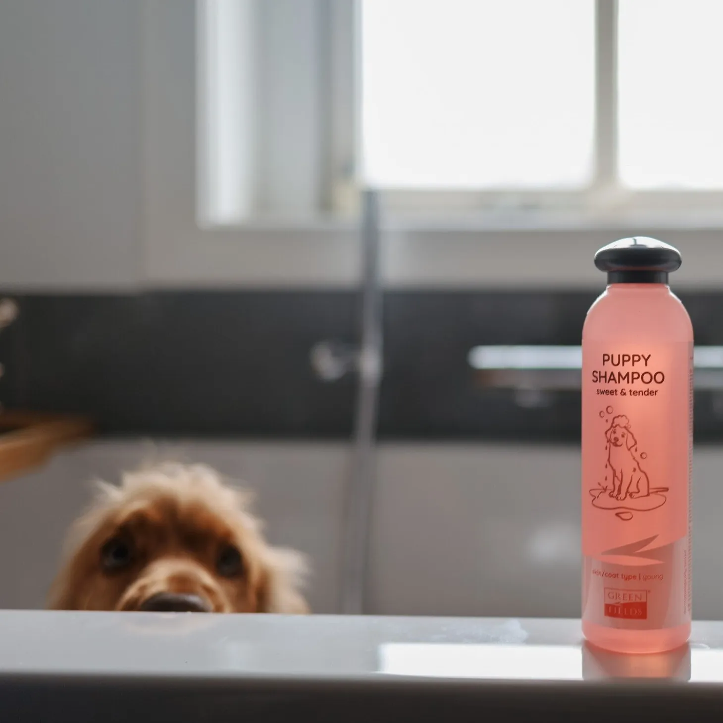 Greenfields hondenshampoo puppy 270 ml