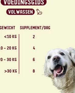 Imby supplement tabbletten allergie & jeuk hond 90 stuks