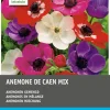 Intratuin Anemoon knol (Anemone 'St. Brigid') gemengd 25 stuks