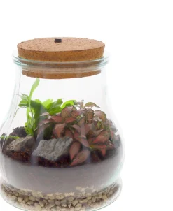 Intratuin arrangement in terrarium met LED kurk D 15 H 19 cm