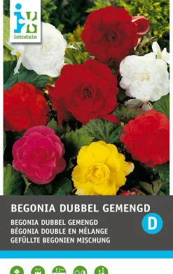 Intratuin Begonia knol (Begonia grandiflora) gemengd 3 stuks
