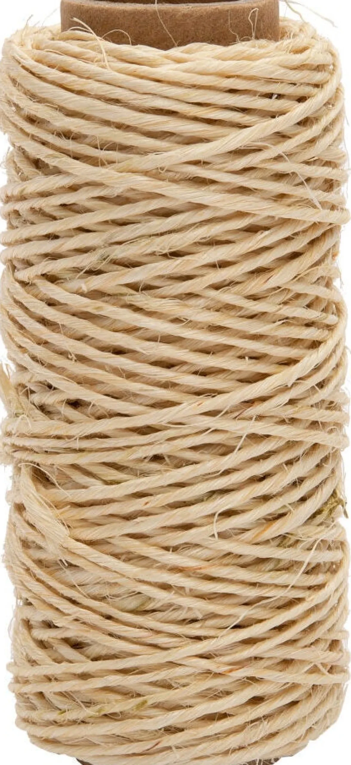 Intratuin bindtouw sisal naturel 30 m
