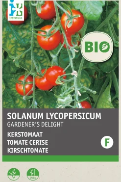intratuin biologisch groentezaden Tomaat (Solanum lycopersicum 'Gardeners Delight')