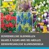 Intratuin bloembollen (bijenvriendelijk) gemengd 44 stuks