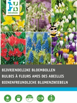 Intratuin bloembollen (bijenvriendelijk) gemengd 44 stuks