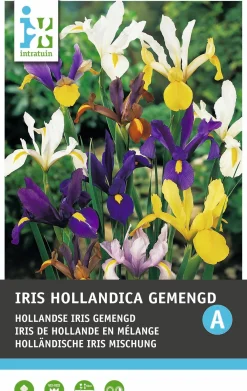 Intratuin bloembollen Iris (Iris hollandica) gemengd 15 stuks