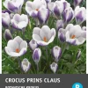 Intratuin bloembollen Krokus (Crocus 'Prins Claus') 25 stuks