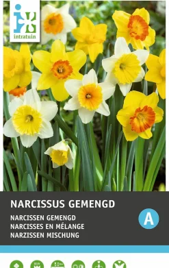 Intratuin bloembollen Narcis (Narcissus) gemengd 5 stuks