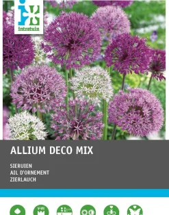 Intratuin bloembollen Sierui (Alium) gemengd 20 stuks