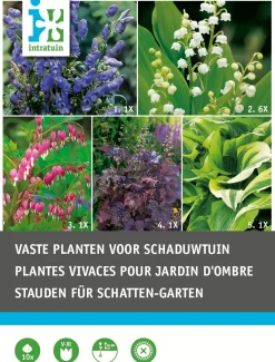 Intratuin bloembollen vaste plant schaduwtuin gemengd 10 stuks