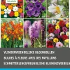 Intratuin bloembollen vlinder vriendelijk 36 stuks