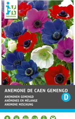Intratuin bloemknol Anemoon (Anemone 'De Caen') gemengd 25 stuks