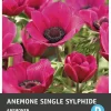 Intratuin bloemknol Anemoon (Anemone single 'Sylphide') 25 stuks