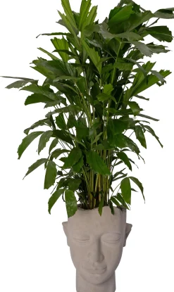 Intratuin bloempot Hoofd grijs 41 x 36 x 50 cm