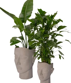 Intratuin bloempot Hoofd grijs 62 x 52 x 76 cm