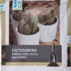Intratuin cactusgrond RHP 5 L