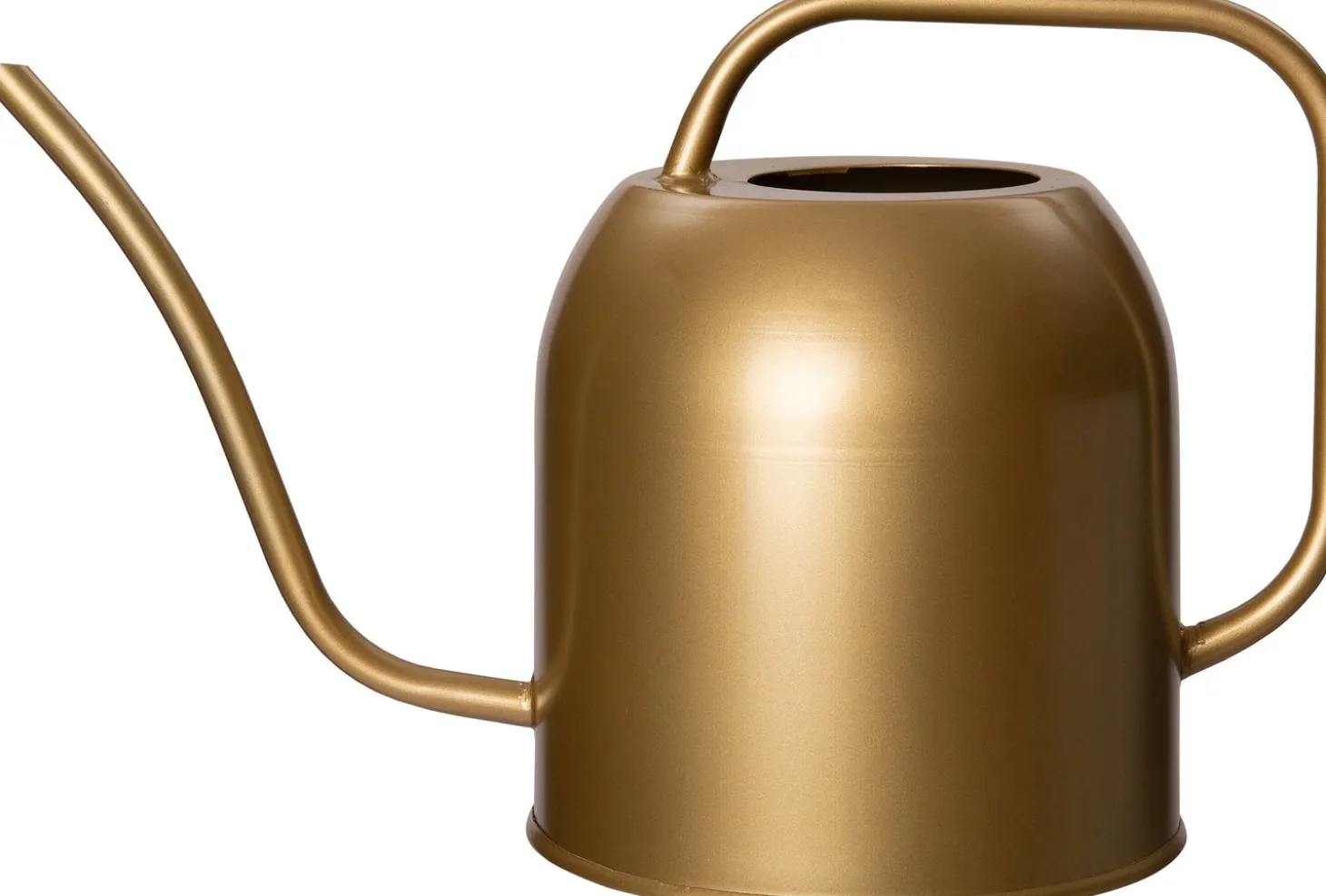 Intratuin gieter Jet goud 2 L