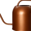 Intratuin gieter Jet koper 2 L