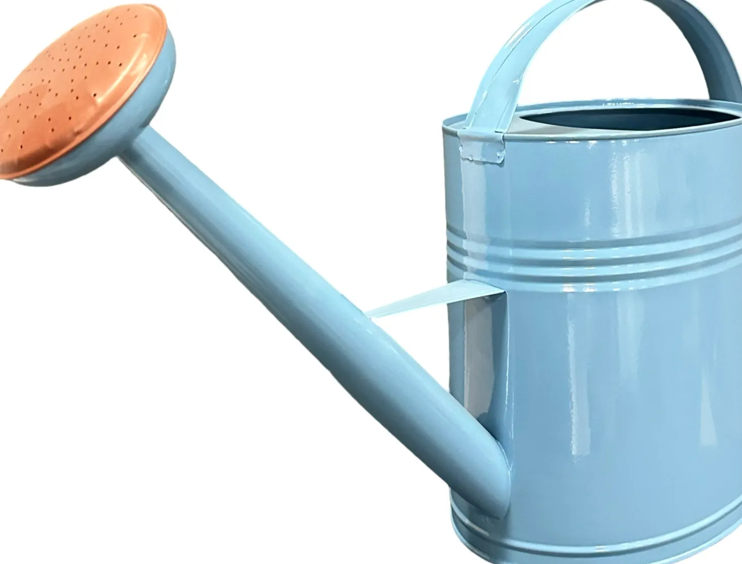 Intratuin gieter Lieke blauw 10 L