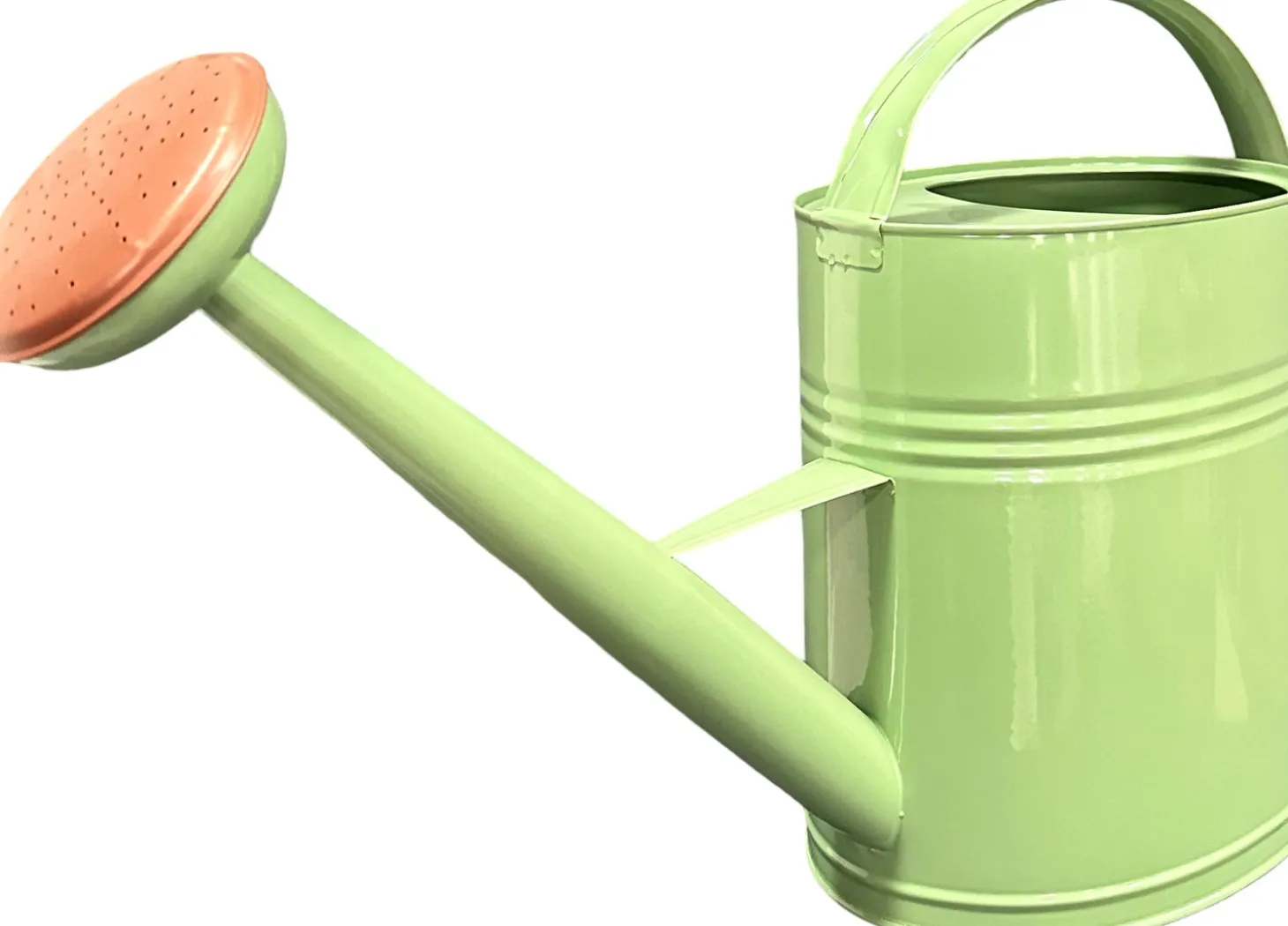 Intratuin gieter Lieke groen 10 L
