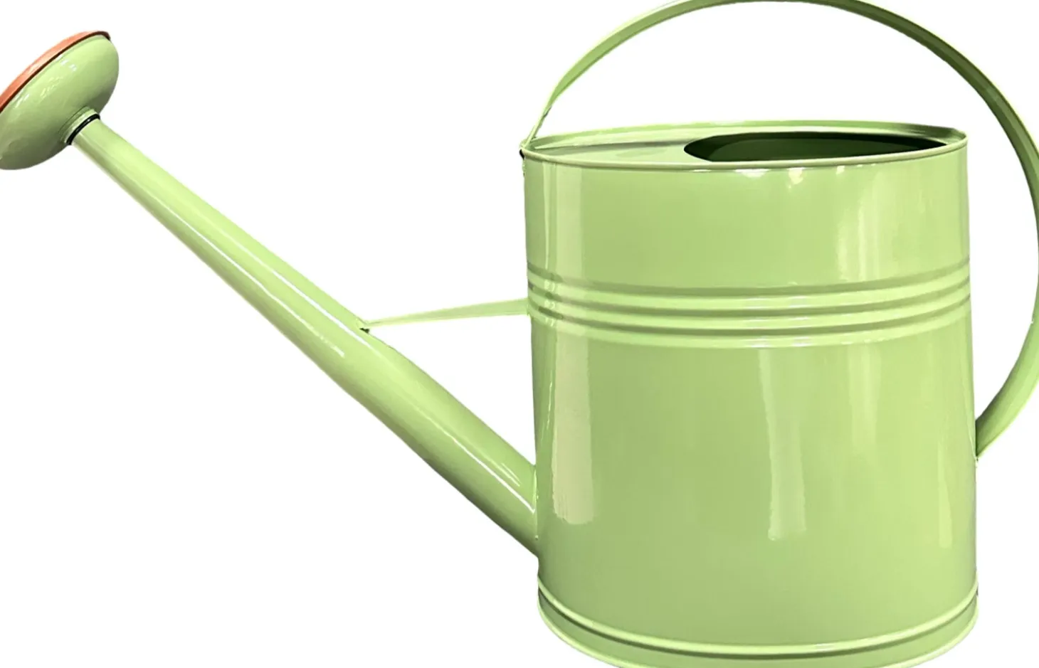 Intratuin gieter Lieke groen 10 L