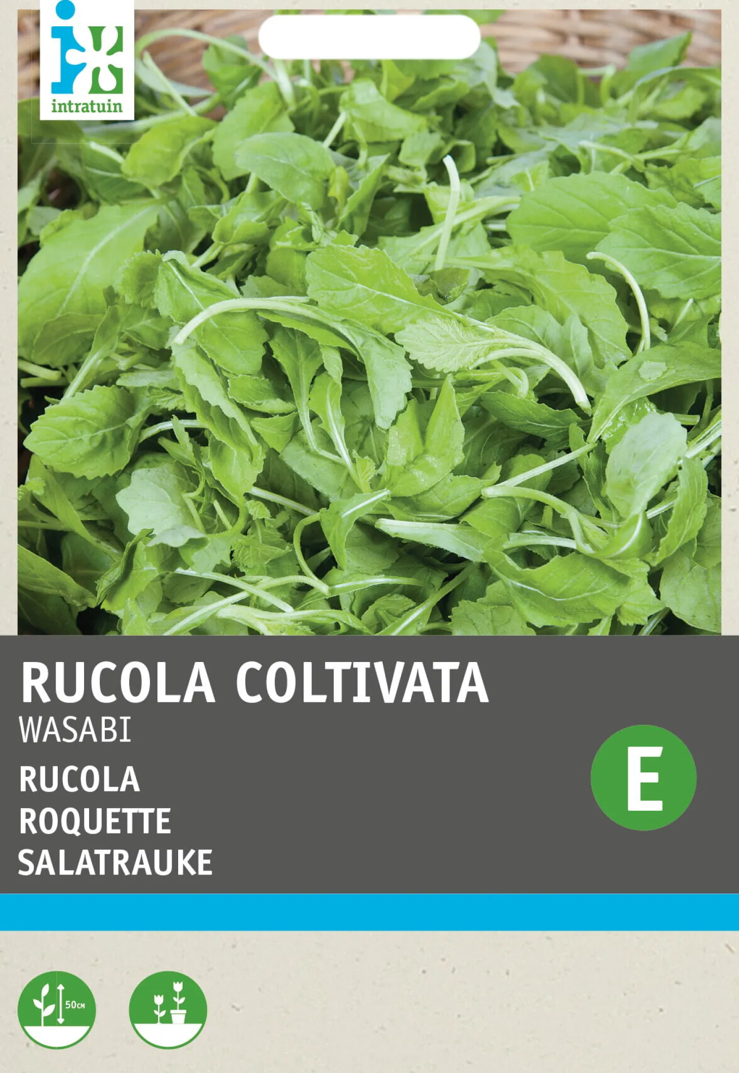 Intratuin groentezaad (Eruca sativa 'Wasabi')
