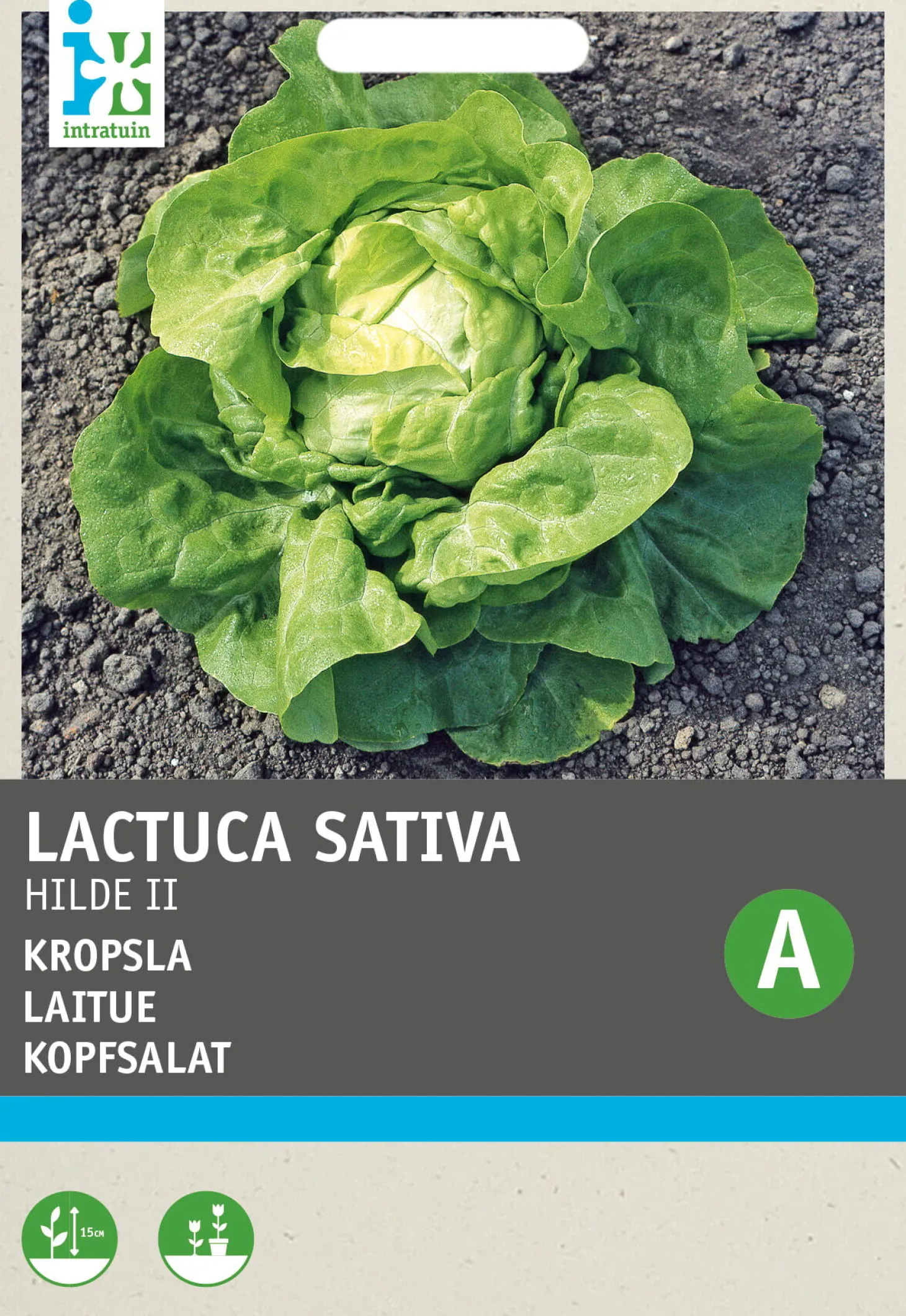 Intratuin groentezaad Kropsla (Lactuca sativa 'Hilde')