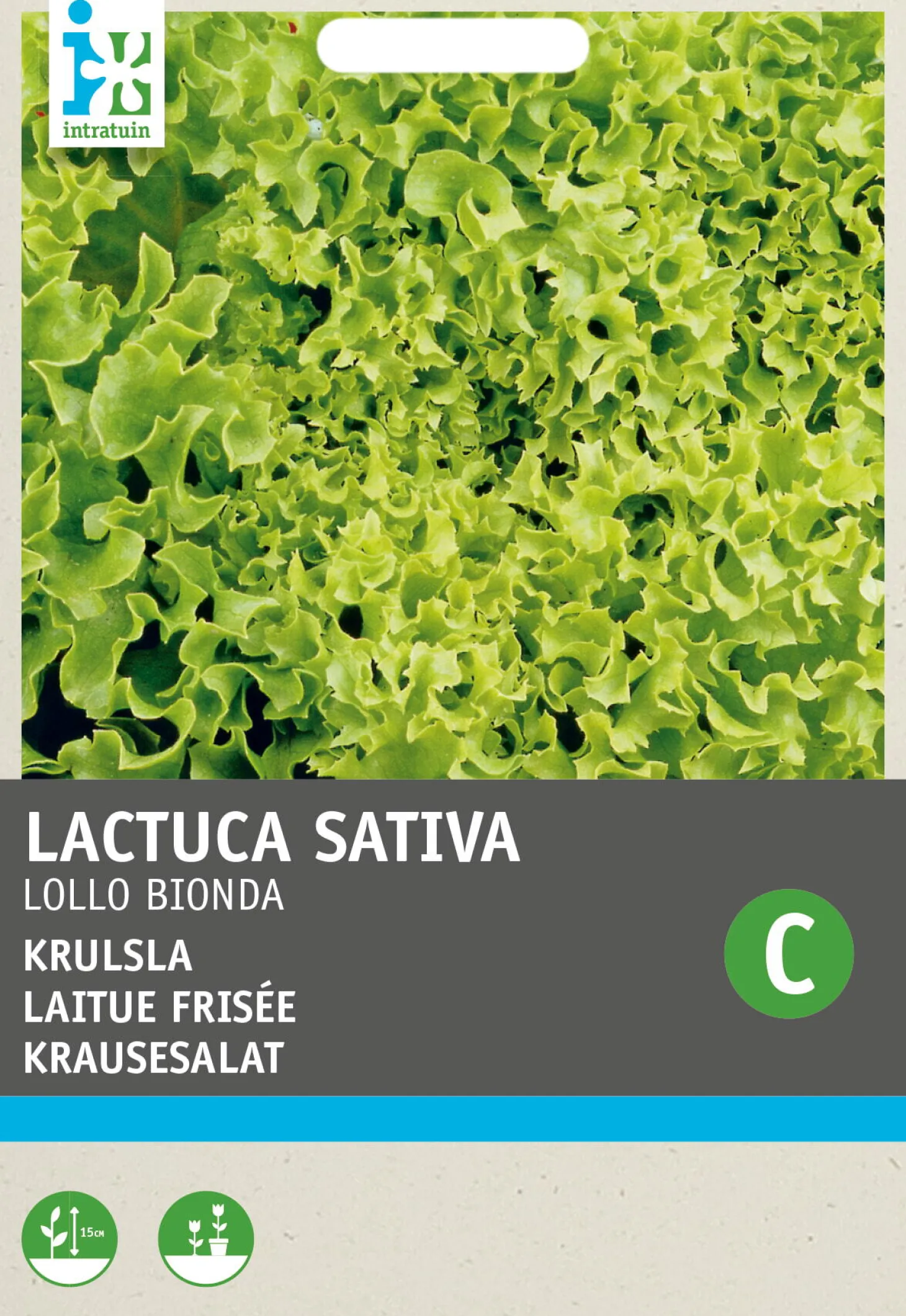 Intratuin groentezaad (Lactuca sativa 'Lollo Bionda')