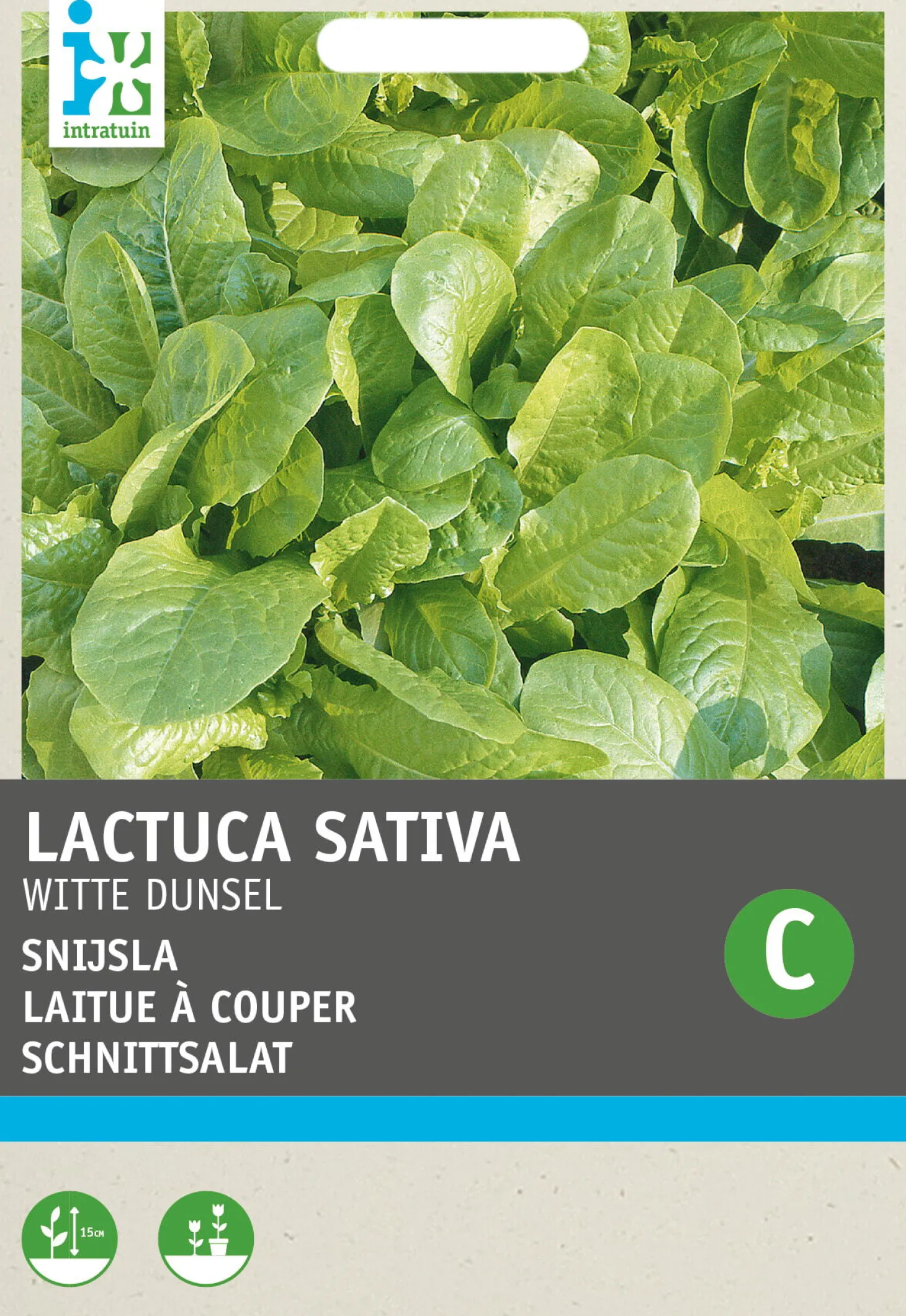Intratuin groentezaad (Latuca sativa 'Witte Dunsel')