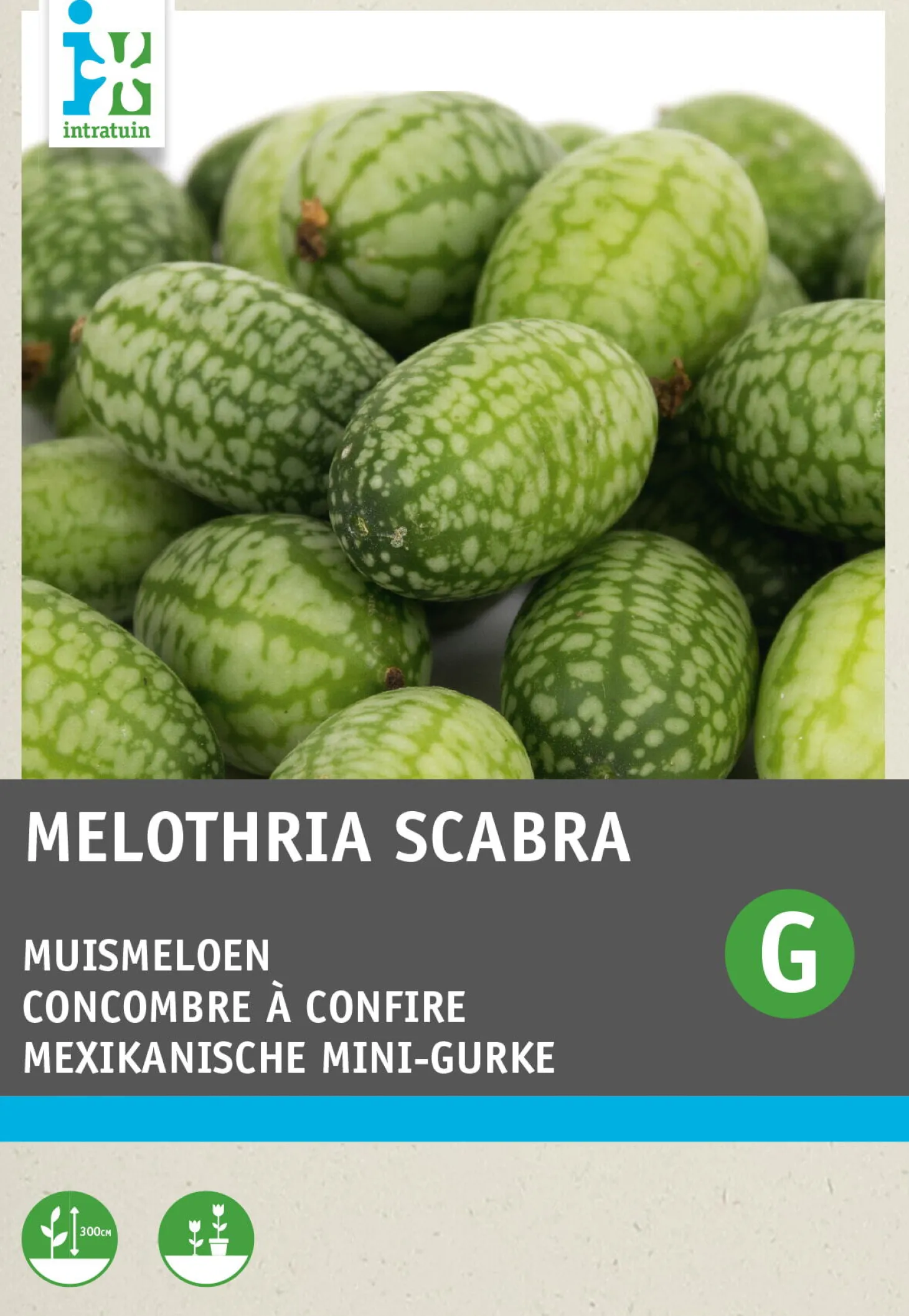 Intratuin groentezaad Muismeloen (Cucamelon)