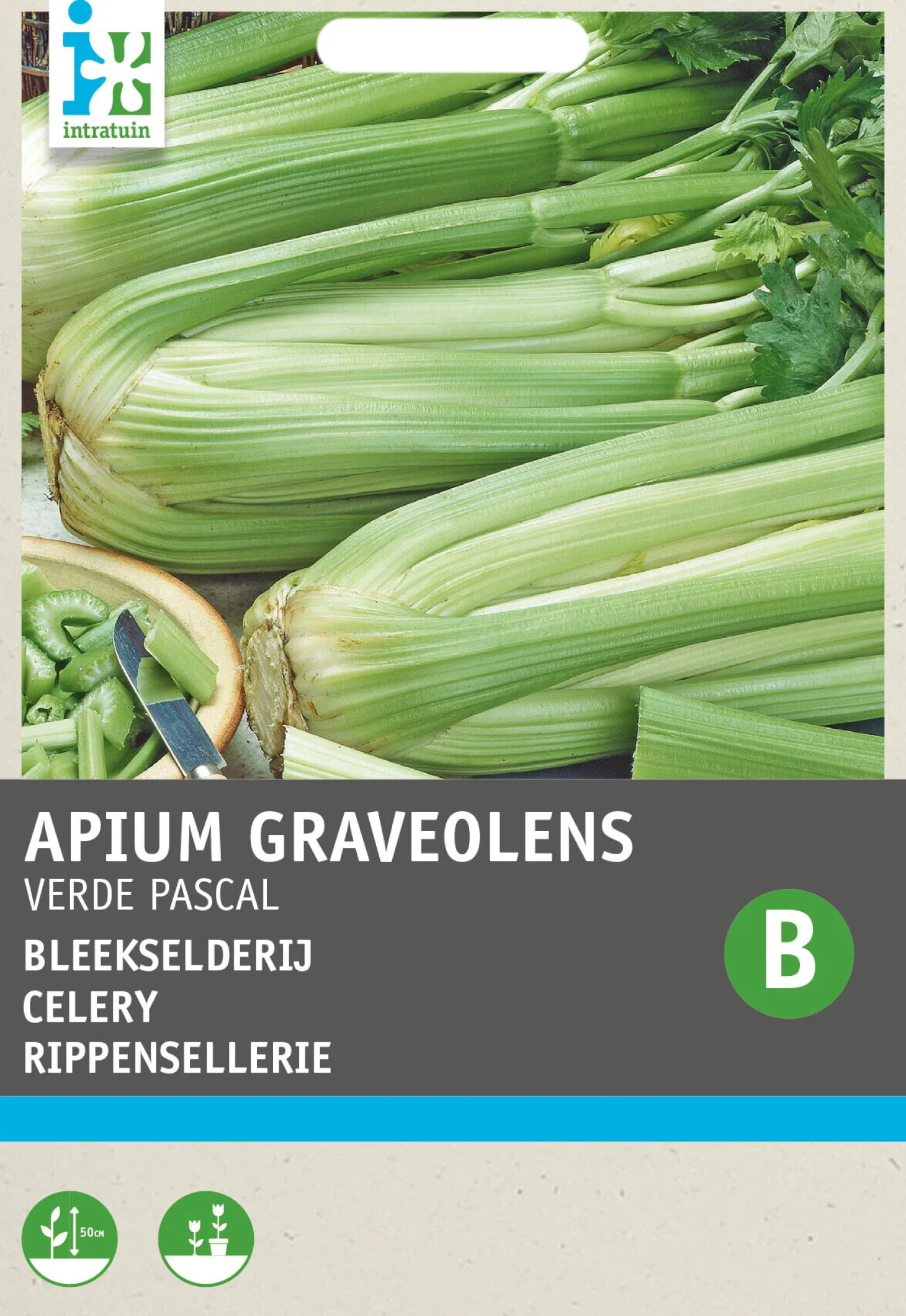 Intratuin groentezaad Selderij (Apium graveolens 'Groene van Pascal')