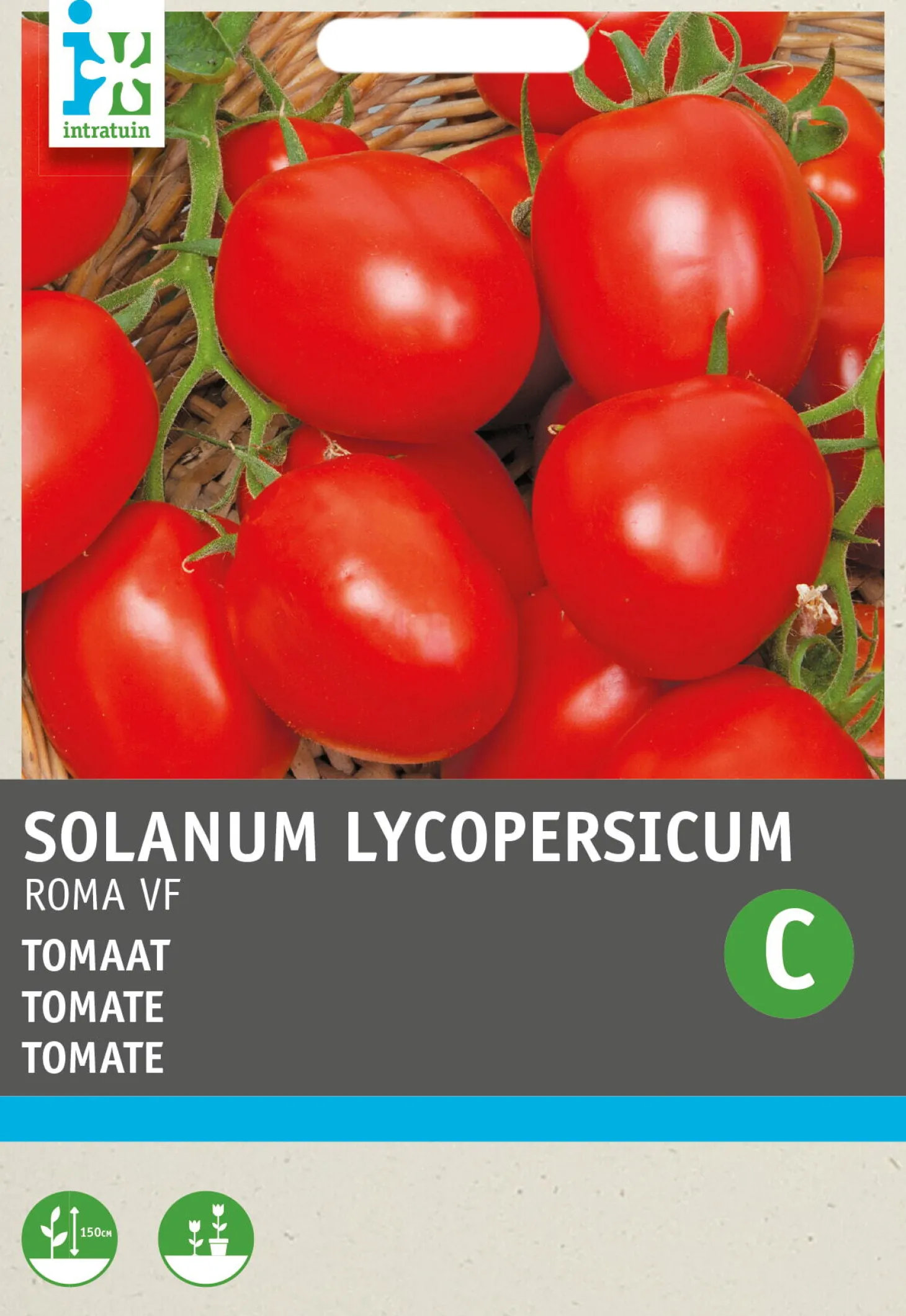 Intratuin groentezaad (Solanum lycopersicum 'Roma')