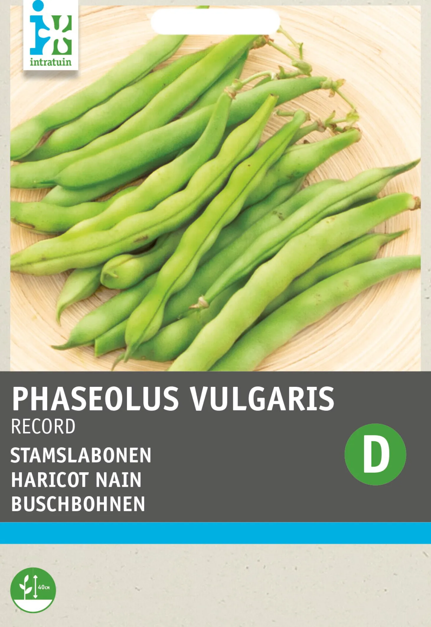 Intratuin groentezaad Stamslabonen (Phaseolus vulgaris 'Record')