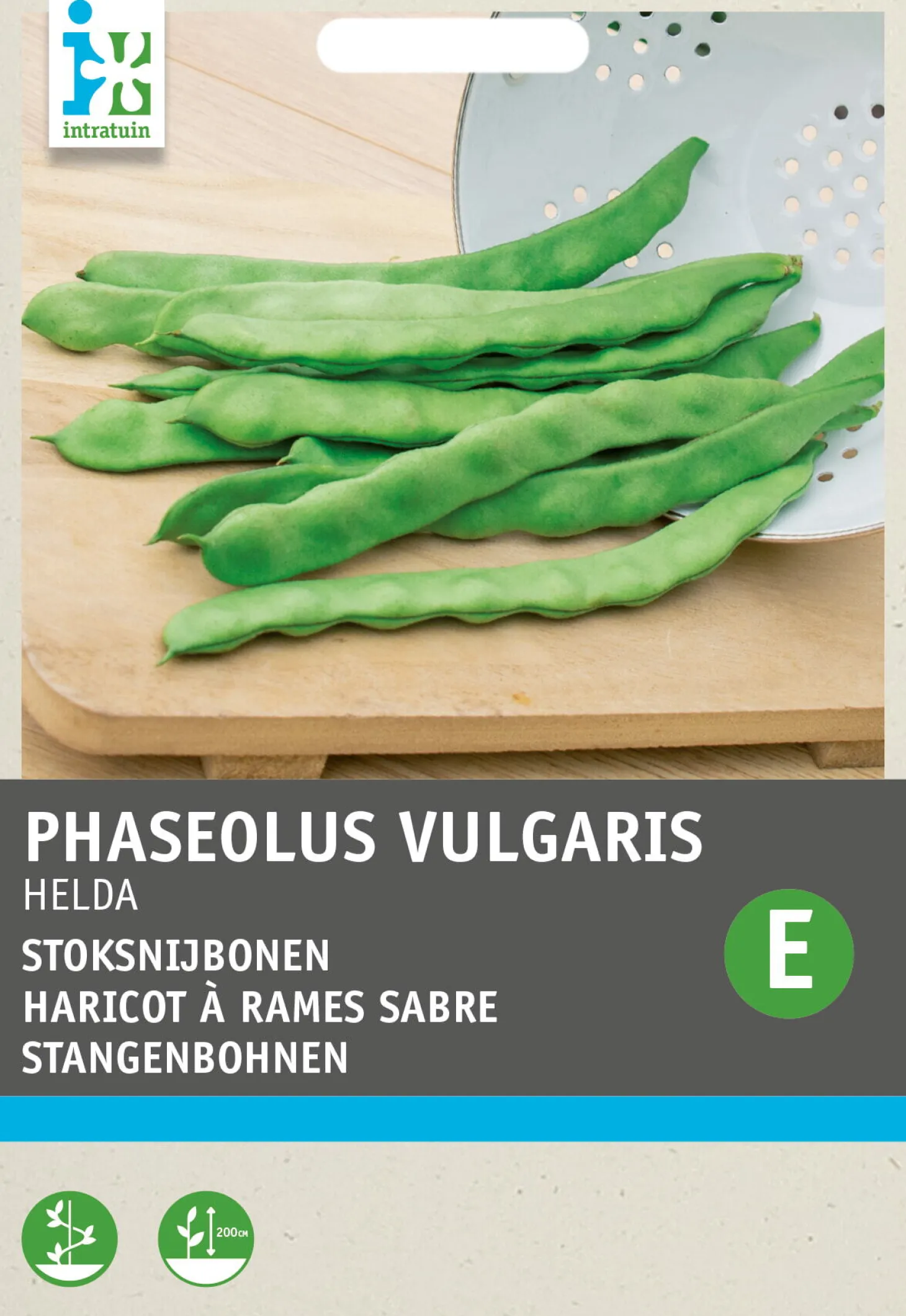 Intratuin groentezaad Stoksnijboon (Phaseolus vulgaris 'Helda')