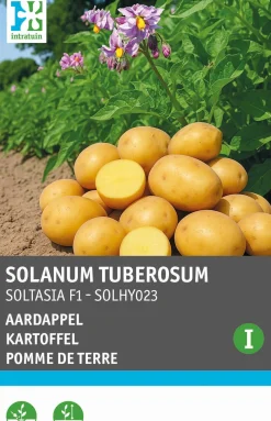 Intratuin groentezaden Aardappel (Solanum tuberosum 'Soltasia F1')
